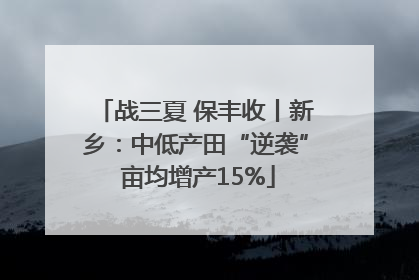 战三夏 保丰收丨新乡：中低产田“逆袭” 亩均增产15%