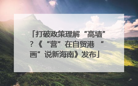 打破政策理解“高墙”？《“营”在自贸港 “画”说新海南》发布
