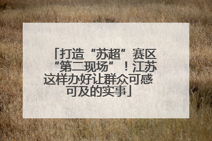 打造“苏超”赛区“第二现场”！江苏这样办好让群众可感可及的实事