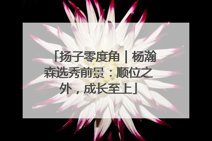 扬子零度角｜杨瀚森选秀前景：顺位之外，成长至上