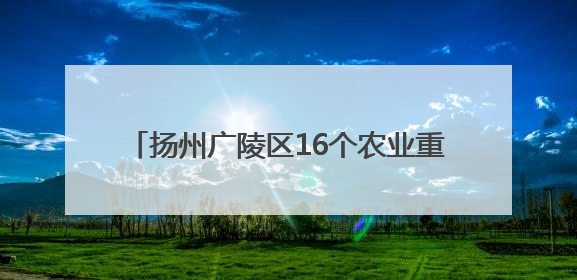 扬州广陵区16个农业重大项目开工率达100%