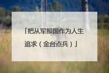 把从军报国作为人生追求（金台点兵）