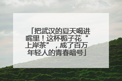 把武汉的夏天喝进嘴里！这杯栀子花“上岸茶”，成了百万年轻人的青春暗号