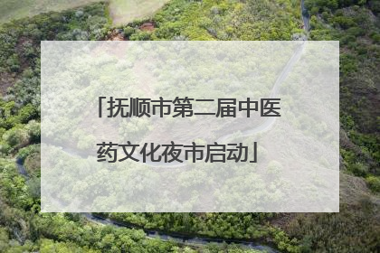 抚顺市第二届中医药文化夜市启动