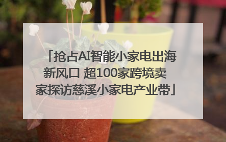 抢占AI智能小家电出海新风口 超100家跨境卖家探访慈溪小家电产业带