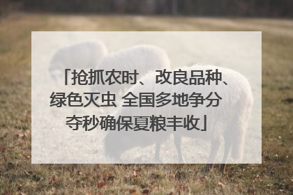 抢抓农时、改良品种、绿色灭虫 全国多地争分夺秒确保夏粮丰收