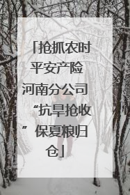 抢抓农时 平安产险河南分公司“抗旱抢收”保夏粮归仓