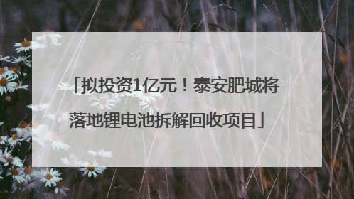 拟投资1亿元！泰安肥城将落地锂电池拆解回收项目