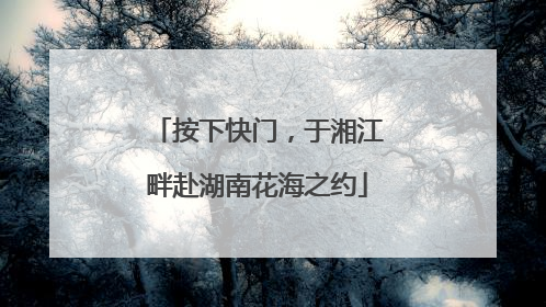 按下快门，于湘江畔赴湖南花海之约
