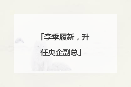 李季履新，升任央企副总