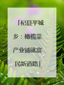 杞县平城乡：橄榄菜产业铺就富民新道路