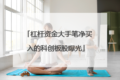 杠杆资金大手笔净买入的科创板股曝光