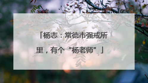 杨志：常德市强戒所里，有个“杨老师”