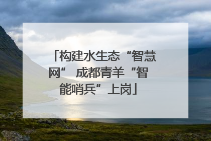 构建水生态“智慧网” 成都青羊“智能哨兵”上岗