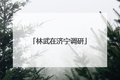 林武在济宁调研