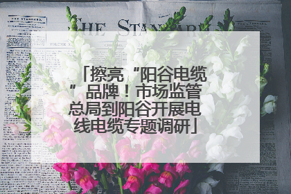 擦亮“阳谷电缆”品牌！市场监管总局到阳谷开展电线电缆专题调研