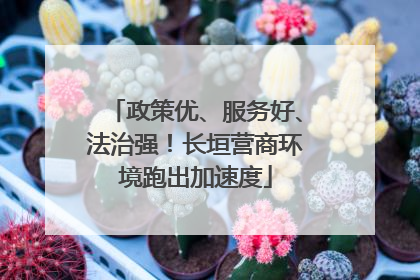 政策优、服务好、法治强！长垣营商环境跑出加速度