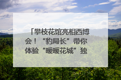 攀枝花馆亮相西博会！“豹局长”带你体验“暖暖花城”独特魅力｜西博视界