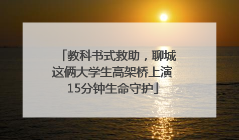 教科书式救助，聊城这俩大学生高架桥上演15分钟生命守护