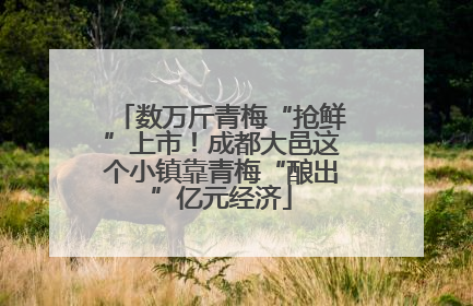 数万斤青梅“抢鲜”上市！成都大邑这个小镇靠青梅“酿出”亿元经济