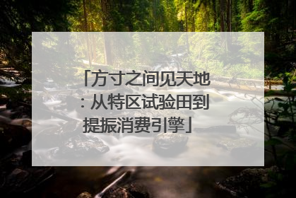 方寸之间见天地：从特区试验田到提振消费引擎