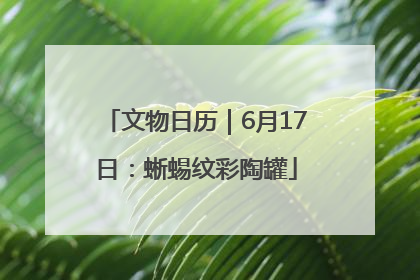 文物日历｜6月17日：蜥蜴纹彩陶罐