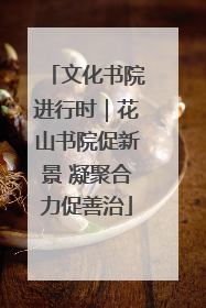 文化书院进行时｜花山书院促新景 凝聚合力促善治