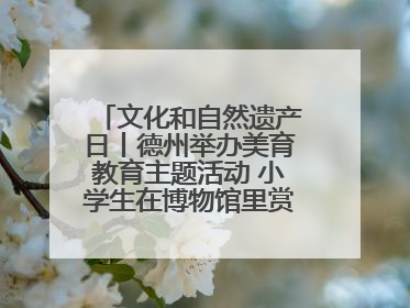 文化和自然遗产日丨德州举办美育教育主题活动 小学生在博物馆里赏文物画文物