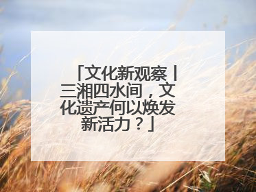 文化新观察丨三湘四水间，文化遗产何以焕发新活力？