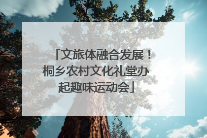 文旅体融合发展！桐乡农村文化礼堂办起趣味运动会