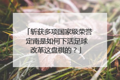 斩获多项国家级荣誉 定南是如何下活足球改革这盘棋的？