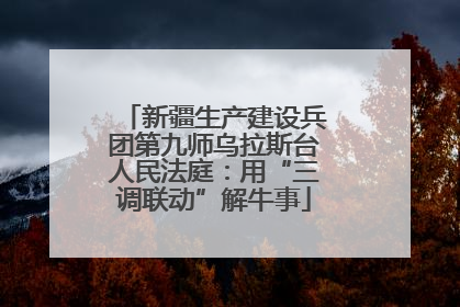 新疆生产建设兵团第九师乌拉斯台人民法庭：用“三调联动”解牛事