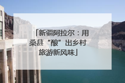 新疆阿拉尔：用桑葚“酿”出乡村旅游新风味