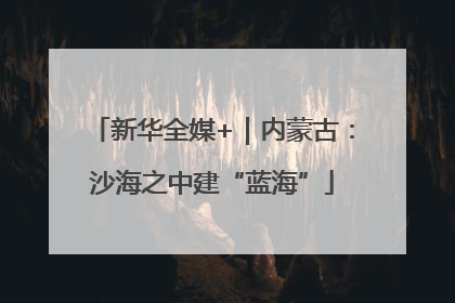 新华全媒+｜内蒙古：沙海之中建“蓝海”