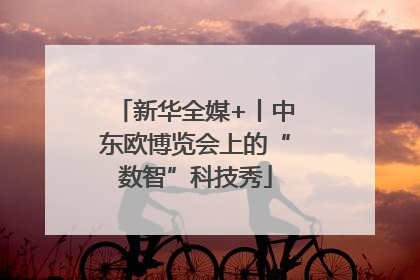 新华全媒+丨中东欧博览会上的“数智”科技秀