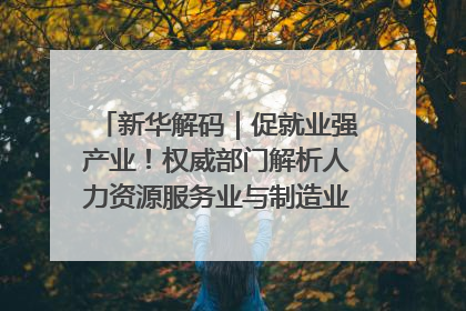 新华解码｜促就业强产业！权威部门解析人力资源服务业与制造业融合发展试点