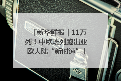 新华鲜报｜11万列！中欧班列跑出亚欧大陆“新时速”