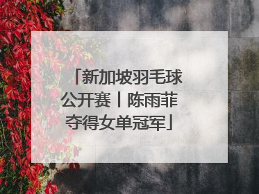 新加坡羽毛球公开赛丨陈雨菲夺得女单冠军