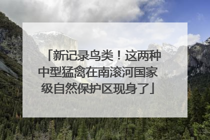 新记录鸟类！这两种中型猛禽在南滚河国家级自然保护区现身了