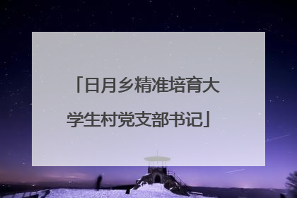 日月乡精准培育大学生村党支部书记