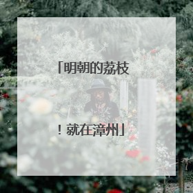 明朝的荔枝！就在漳州