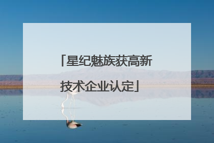 星纪魅族获高新技术企业认定