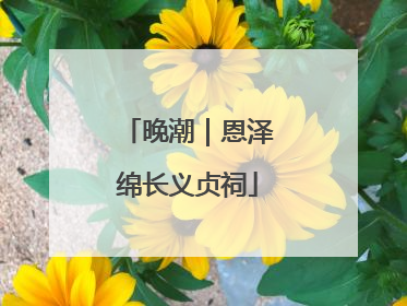 晚潮｜恩泽绵长义贞祠