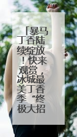 暴马丁香陆续绽放！快来观赏，冰城最美丁香季“终极大招”