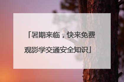 暑期来临，快来免费观影学交通安全知识