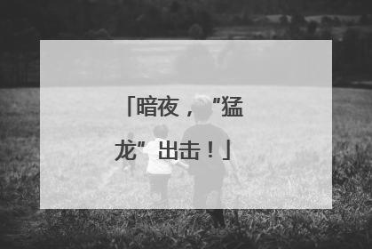 暗夜，“猛龙”出击！