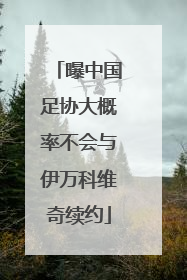 曝中国足协大概率不会与伊万科维奇续约