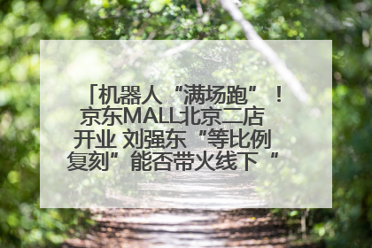 机器人“满场跑”！京东MALL北京二店开业 刘强东“等比例复刻”能否带火线下“618”？
