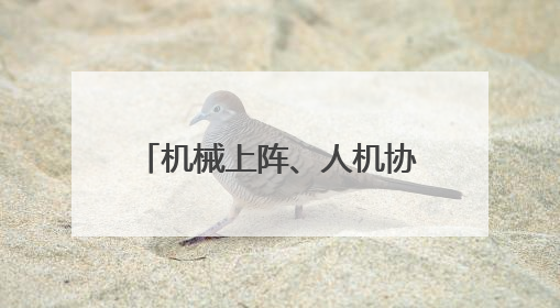 机械上阵、人机协同，武汉临江大道“扫”出城市精气神