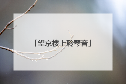 望京楼上聆琴音